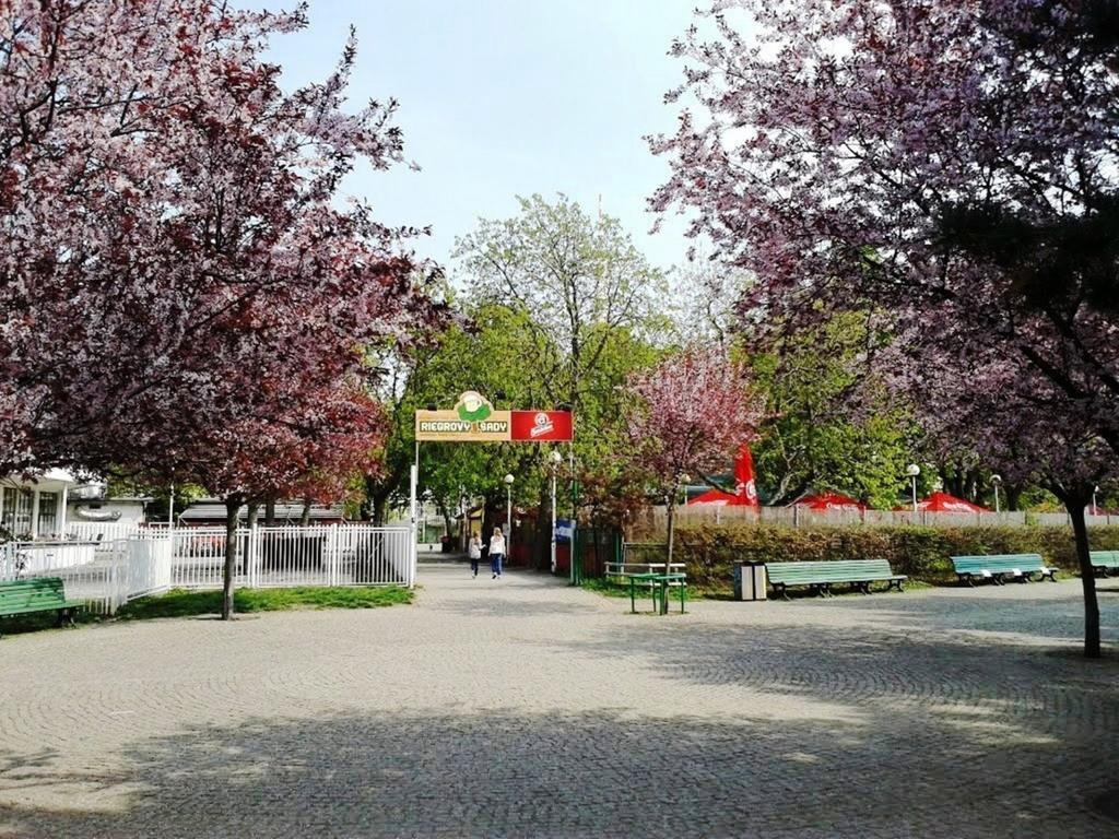 Modern Apartment Riegrovy Sady Prague Ngoại thất bức ảnh